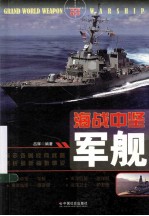 海战中坚 军舰