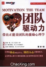 团队驱动力 带出正能量团队的激励心理学