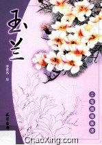 工笔线描画谱 玉兰