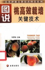 图说桃高效栽培关键技术