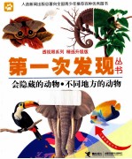 第一次发现丛书 会隐藏的动物不同地方的动物