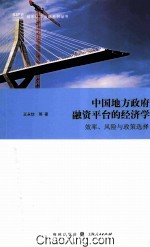 中国地方政府融资平台的经济学 效率、风险与政策选择