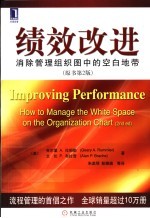 绩效改进 消除管理组织图中的空白地带 原书第2版