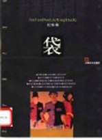 时装局部精做 袋