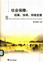 社会保障 统筹、协调、持续发展