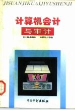 计算机会计与审计