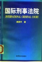 国际刑事法院