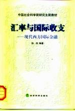 汇率与国际收支 现代西方国际金融
