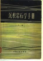 沉积岩石学手册 下