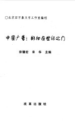 中国广告:徘徊在世纪之门