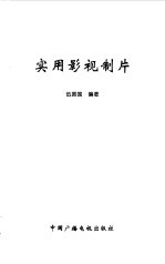 实用影视制片