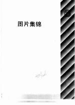 自然科学年鉴 1990