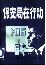 保安局在行动