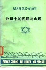 分析中的问题与命题