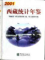 西藏统计年鉴 2001 总第13期