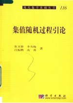 集值随机过程引论