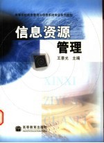 高等学校信息管理与信息系统专业系列教材 信息资源管理