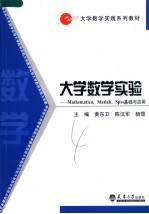 大学教学实践系列教材 大学数学实验