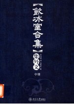 《饮冰室合集》集外文 中