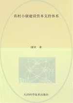 农村小康建设资本支持体系