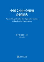 中国文化社会组织发展报告