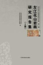 左江花山岩画系列文集 左江花山岩画研究报告集 上