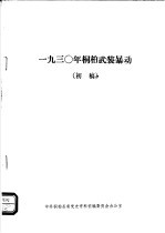 1930年桐柏武装暴动 初稿