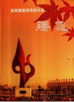 腾飞·莱芜民营经济的风采