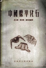 中国标准化石