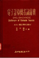 电子计算机名词辞典