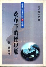 中国社会热点A档案 改革下的怪现象
