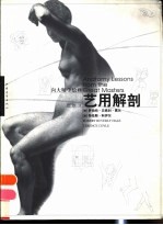 向大师学绘画 艺用解剖