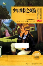 少年维特之烦恼 青少版