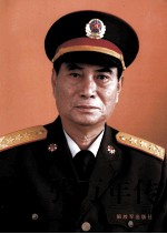 张万年传 [下册]