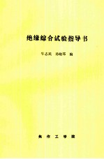 绝缘综合试验指导书