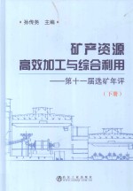 矿产资源高效加工与综合利用 第十一届选矿年评(下册)