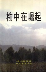 榆中文史资料 第3辑 榆中在崛起