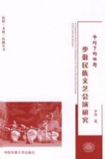 华灯下的田野 少数民族文艺会演研究
