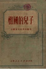 祖国的儿子 志愿军中的青年团员