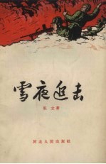 雪夜追击
