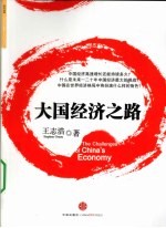 大国经济之路