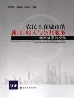 农民工在城市的就业、收入与公共服务 城市贫困的视角