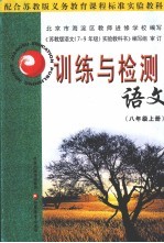 训练与检测 语文
