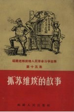 抓“苏维埃”的故事