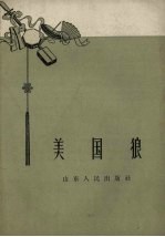 美国狼