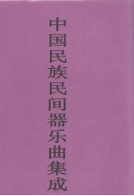 中国民族民间器乐曲集成·广西卷 下册