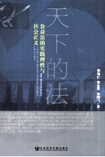 天下的法 公益法的实践理性与社会正义