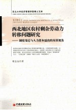 西北地区农村剩余劳动力转移问题研究 制度变迁与人力资本溢出的双重视角