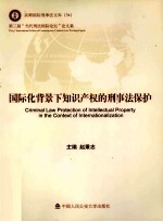 国际化背景下知识产权的刑事法保护 第三届“当代刑法国际论坛”论文集