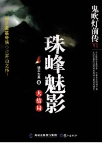 珠峰魅影大结局